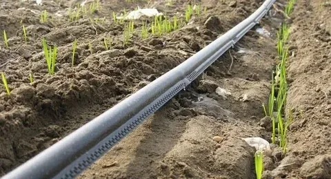 تصویر 4 از لوله تاشو پلی‌ اتیلن با طول عمر بالا و دوام مطمئن